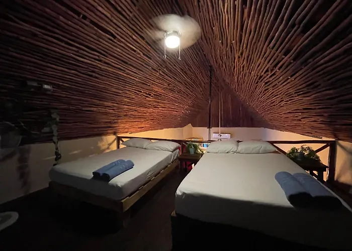 Apartment Treehouse Loft In Prime Location