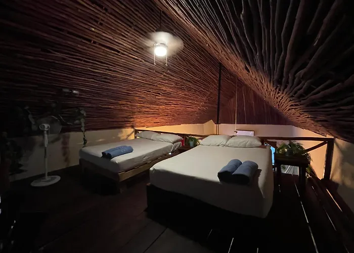 Apartment Treehouse Loft In Prime Location *
